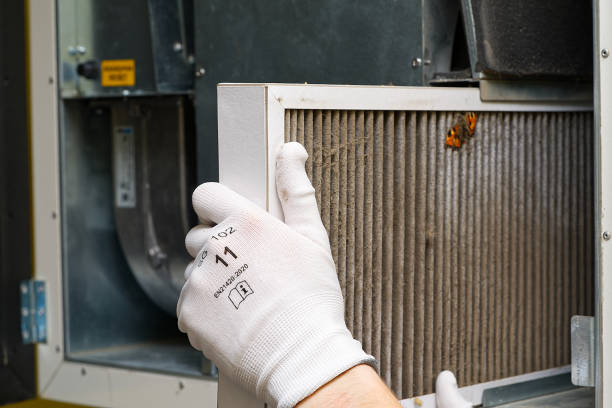 Best Air Duct Cleaning Near Me  in Windsor Heights, IA