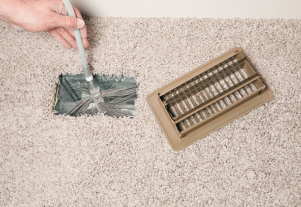 Best Air Duct Mold Removal  in Windsor Heights, IA